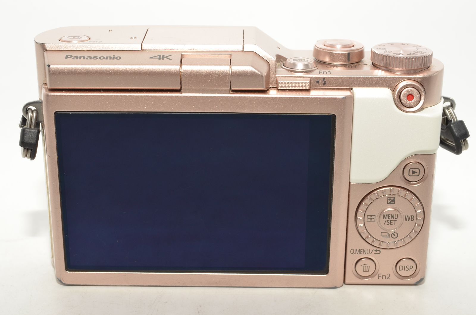 良品】 パナソニック Panasonic ルミックス GF10 ダブルレンズキット