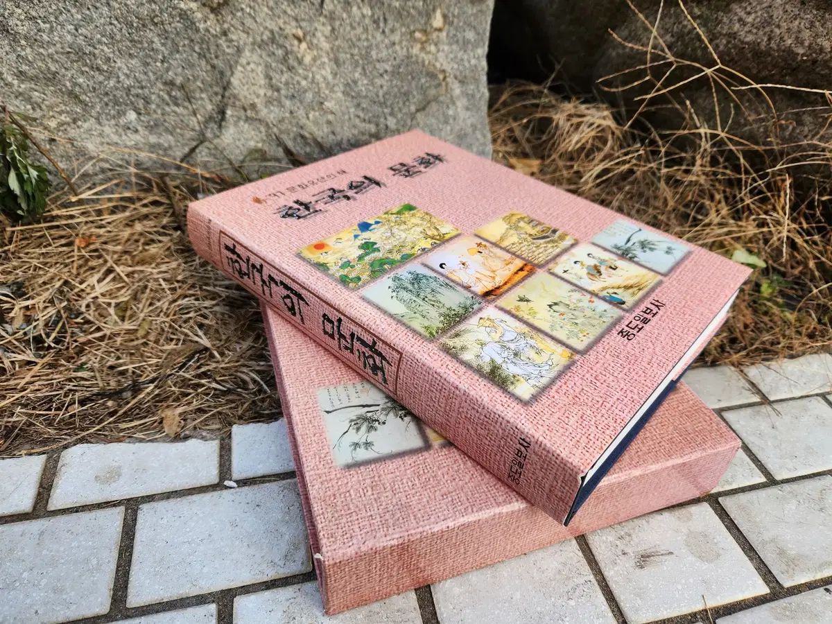 1997年 中日新聞社 韓国の文化 近代図書