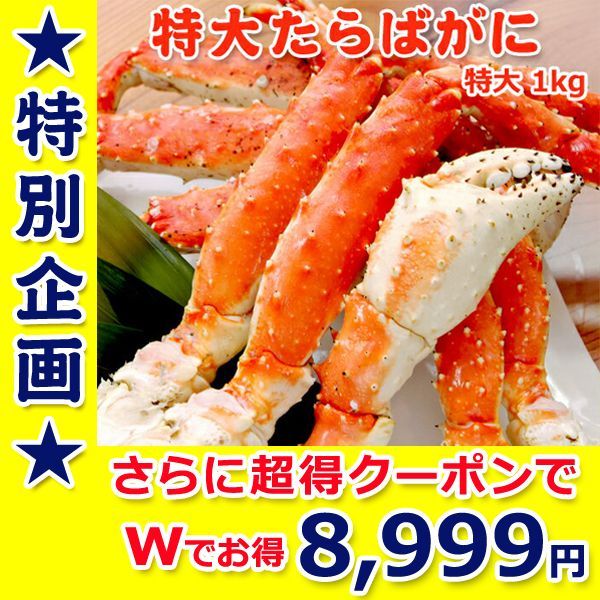 Travis Japan 中村海人】ハケンの品格 DVDBOX