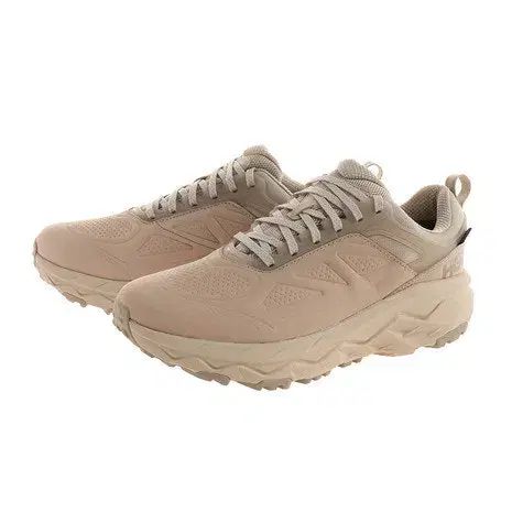 ホカ メンズ 登山靴 チャレンジャー ロー GTX ゴアテックス