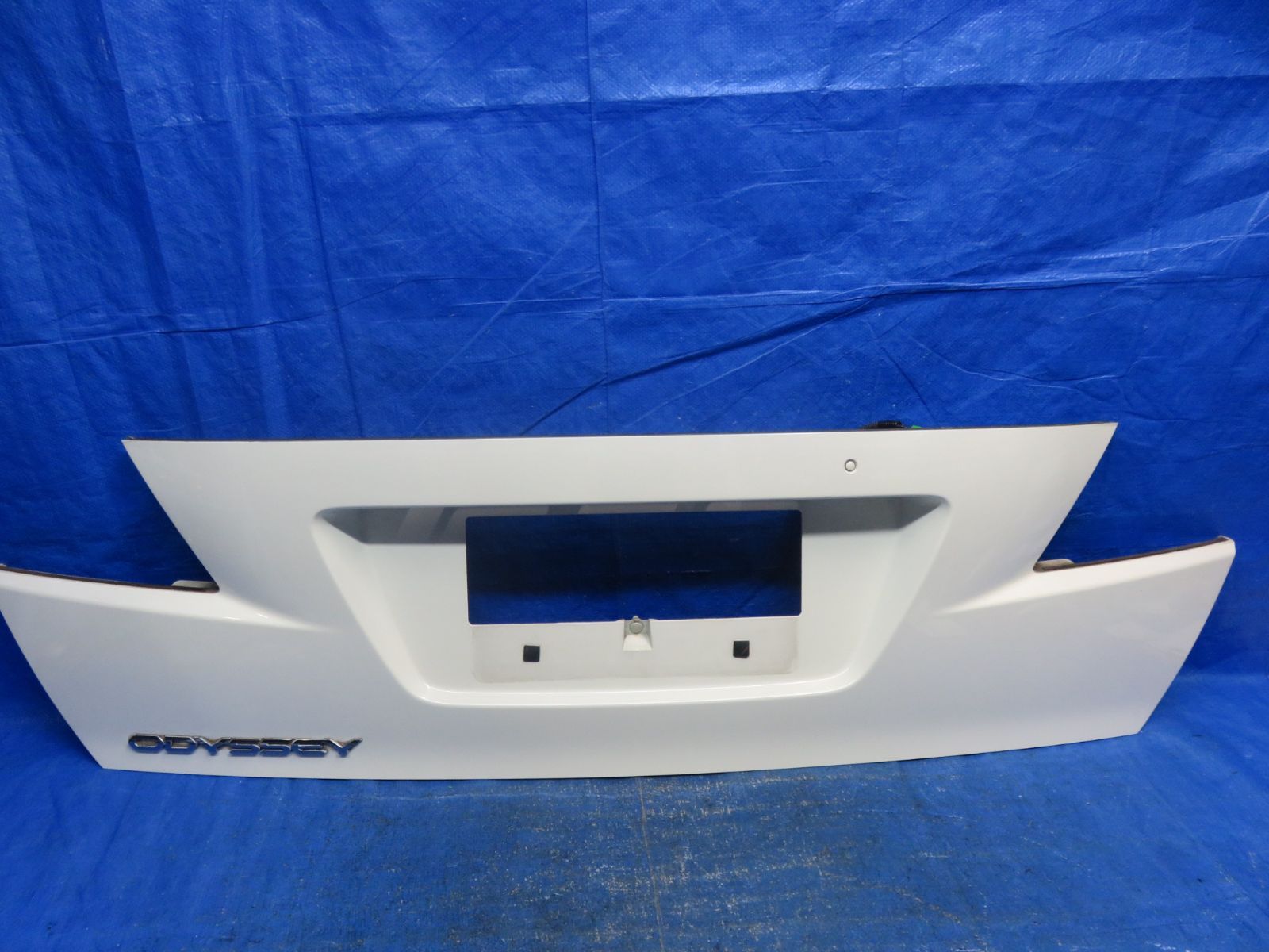 鮑 漆沈刻 花草紋 盃 提げ物 根付 時代物 DT611