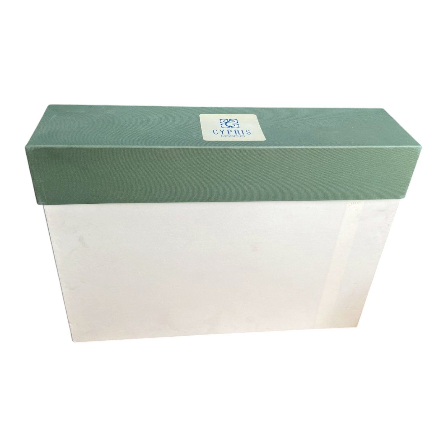 CYPRIS ブリーフ ケース レザー 1本手 キプリス き