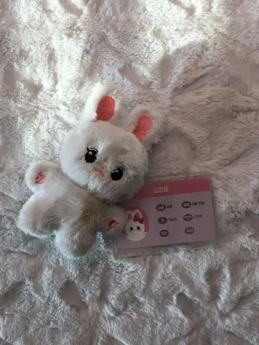 IVE ウォニョン(WONYOUNG・チャンウォニョン) 10cm ぬいぐるみ 녕뽀