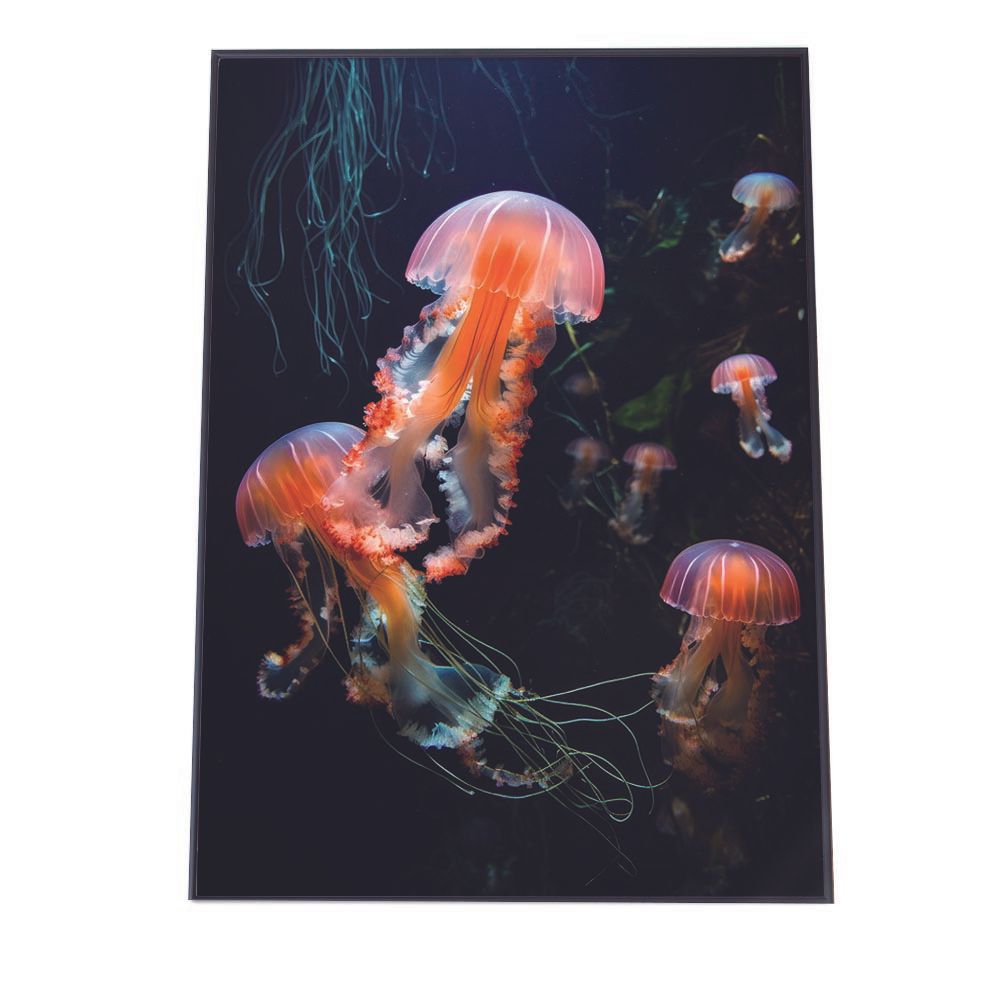 A3サイズ（約30×42cm）】【lh-poster-2605】クラゲ ポスター