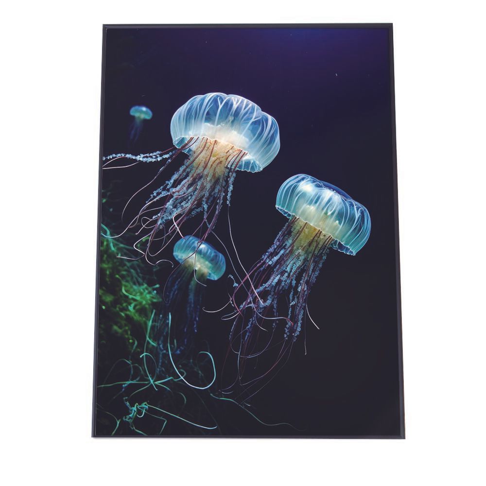 A2サイズ（約42x59cm）】【lh-poster-2609】クラゲ ポスター