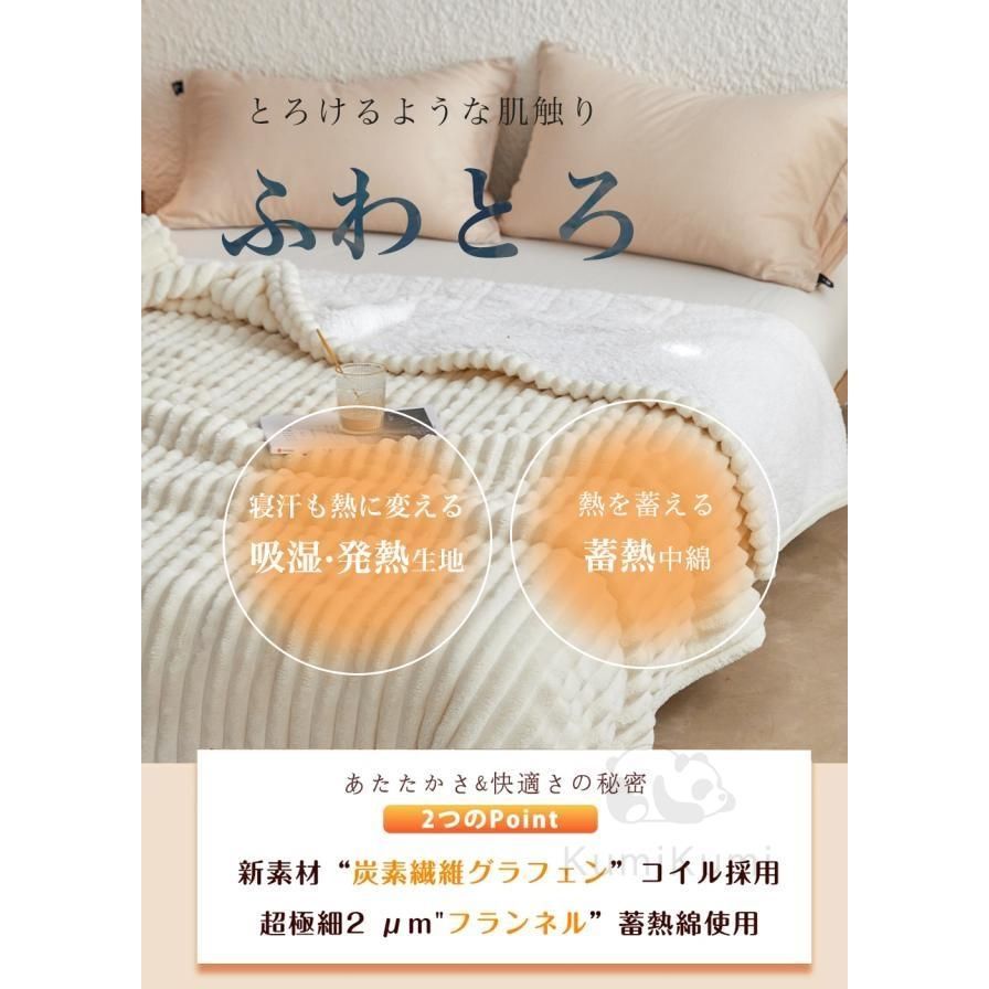  電気毛布 5段階温度調整 12 Hタイマー設定敷き毛布 掛け敷き兼用 速暖 洗える 敷きフランネル 電気ひざ掛け 防寒対策 オフィス 5 WAY ダニ退治 ふわふわ 冷え対策 その他 タオル