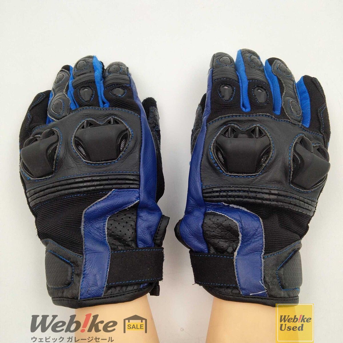 金子 國義、Cat Circus、厳選、希少画集・額装画、人気作品、アート 金子 國義、Cat Circus、厳選、希少画集・額装画、人気作品、アート