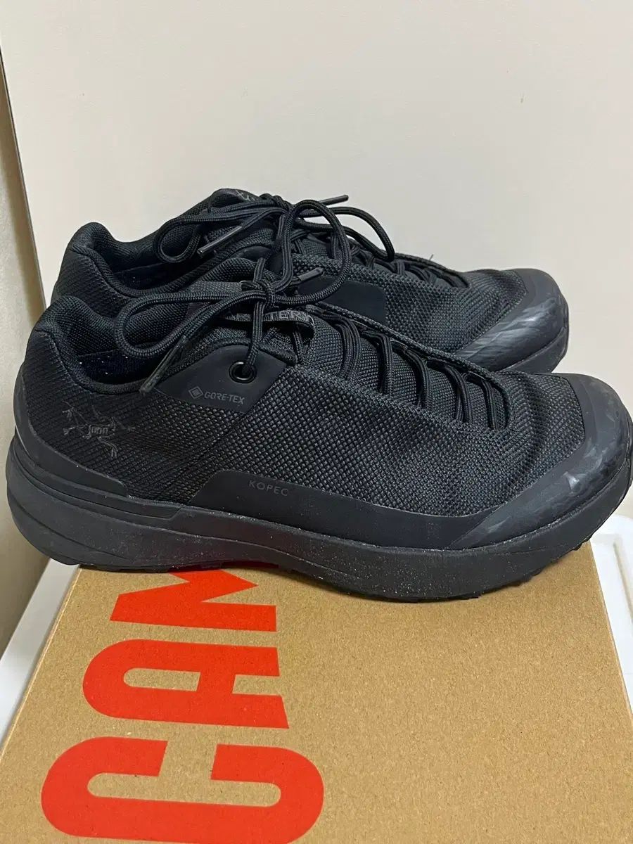  ARC TERYX アークテリクス SS 25 コペック gtx 23. 登山靴 トレッキングシューズ アウトドアシューズ