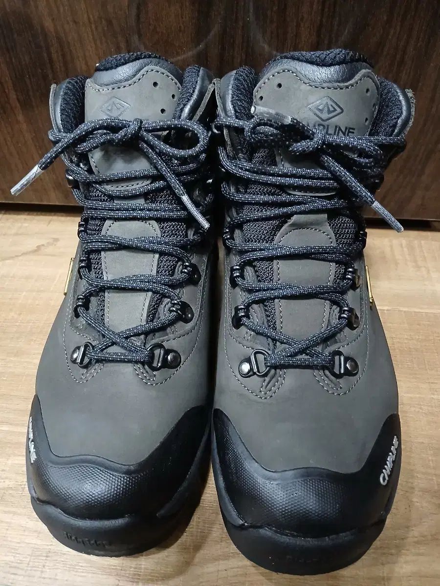 ゴアテックス ブラック Storm デルタ 登山靴 245 mm