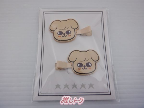 Stray Kids SEUNGMIN 5-STAR DOME TOUR 2023 ヘアクリップ スンミン