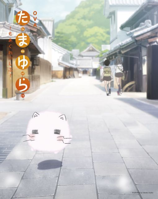 - OVA たまゆら~もあぐれっしぶ~ DVD