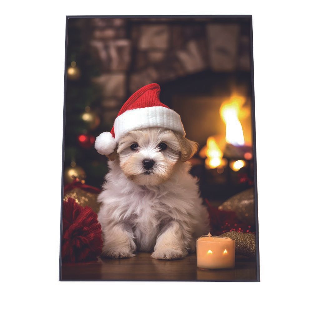 A2サイズ（約42x59cm）】【lh-poster-3064】【フレーム付き