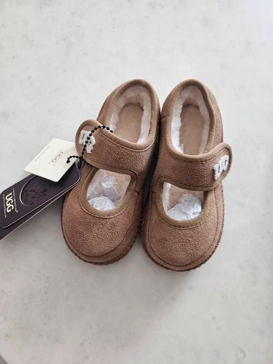 トドラー メリージェーン オーストラリア アグ XL