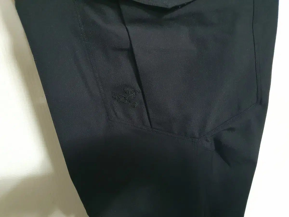 ARC TERYX アークテリクス ズボン 36