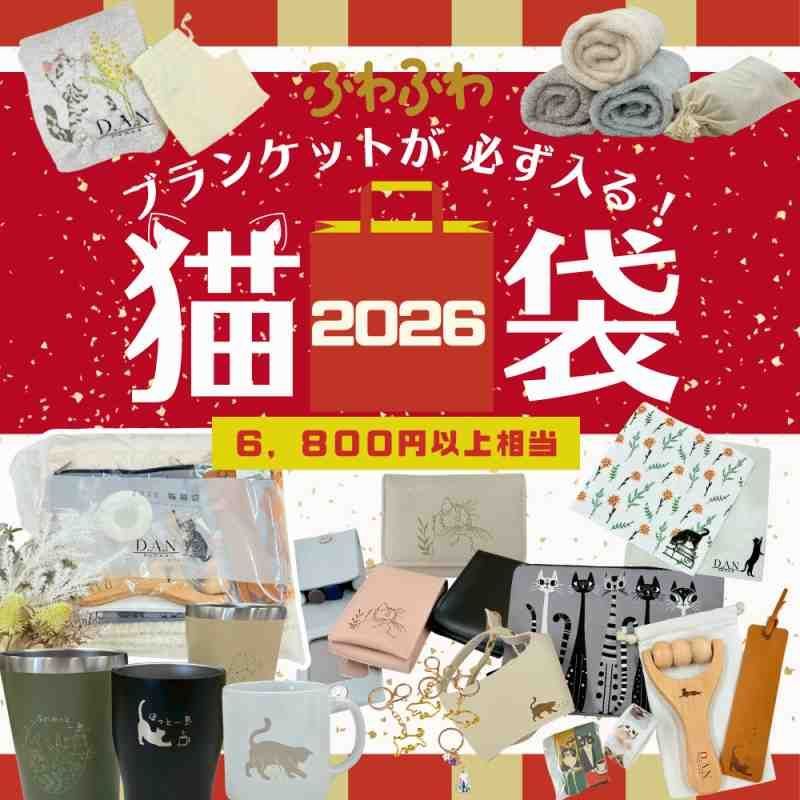 ネコ好き必見！大判ブランケット入り 猫雑貨福袋2026 7点以上 オリジナルデザイン