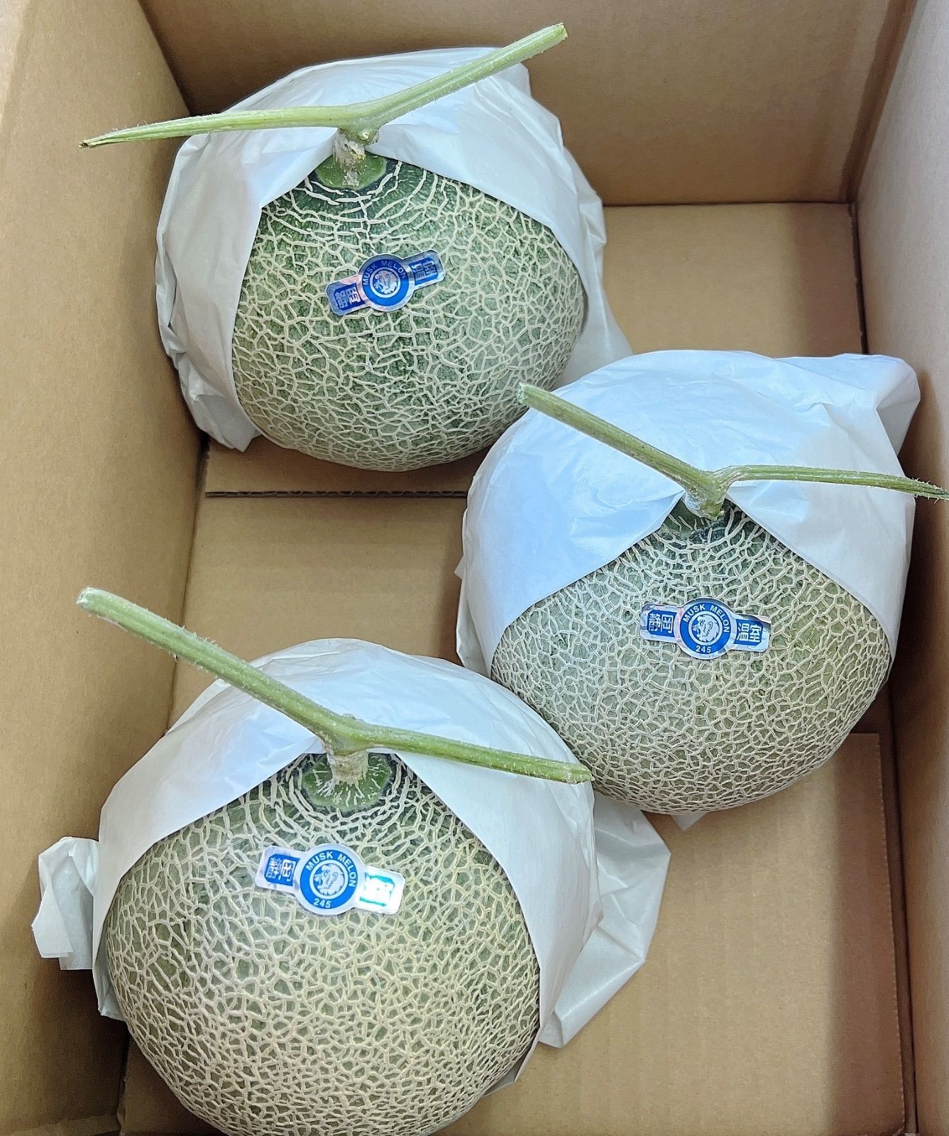食品 産地直送 高級温室マスクメロン 高級メロン 温室メロン