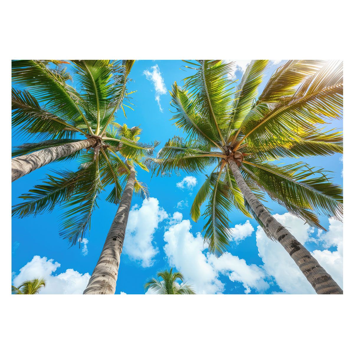 大塚孝彦とそのグループ / THE FIRST AND THE LAST 販売 / 自主盤 FOLK