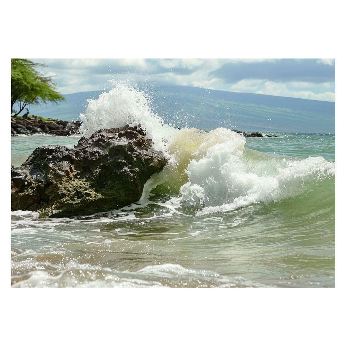 コスタリカの奇跡 ～積極的平和国家のつくり方～ [DVD]