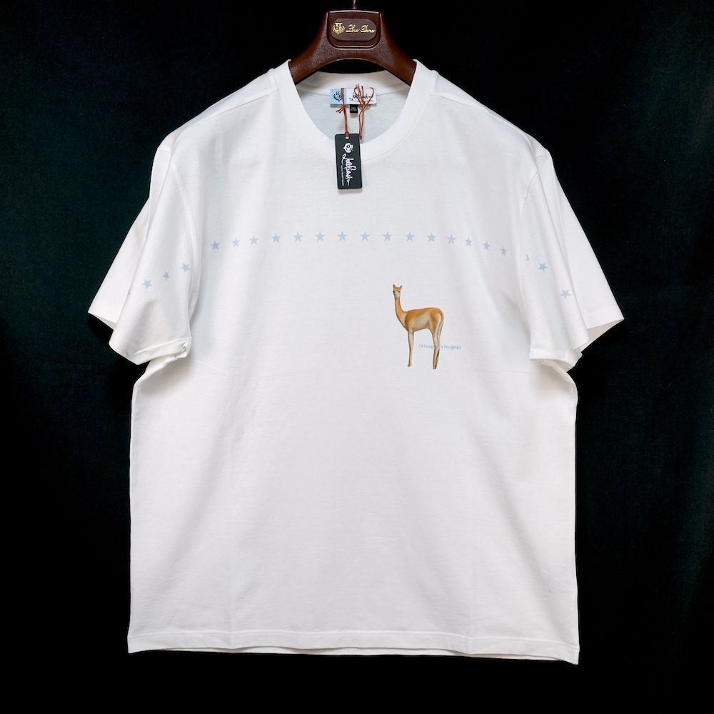 20SS Loro Piana Hiroshi Fujiwara ロロピアーナ 藤原ヒロシ アート