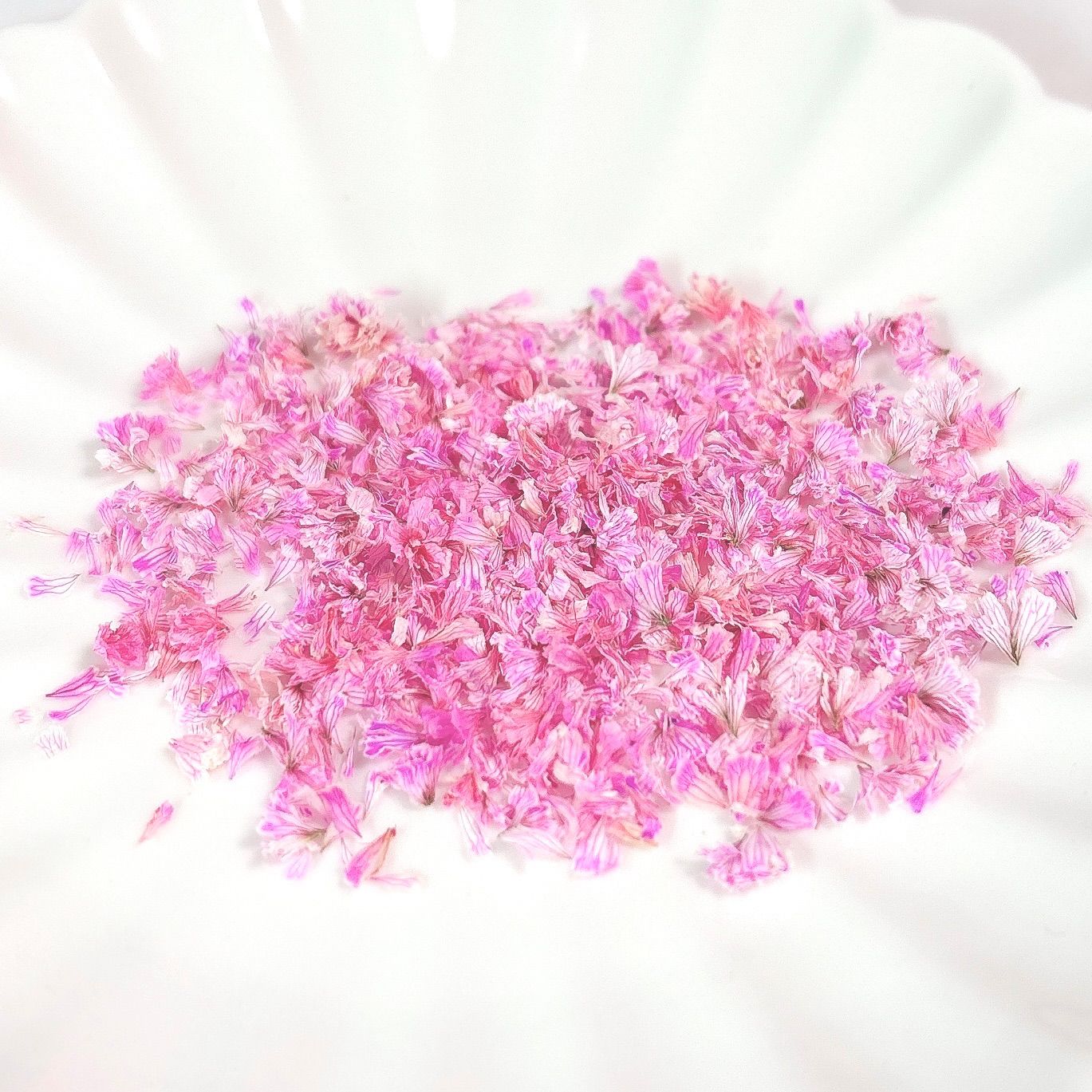 No.444 かすみ草 花びらフレーク ドライフラワー - メルカリ