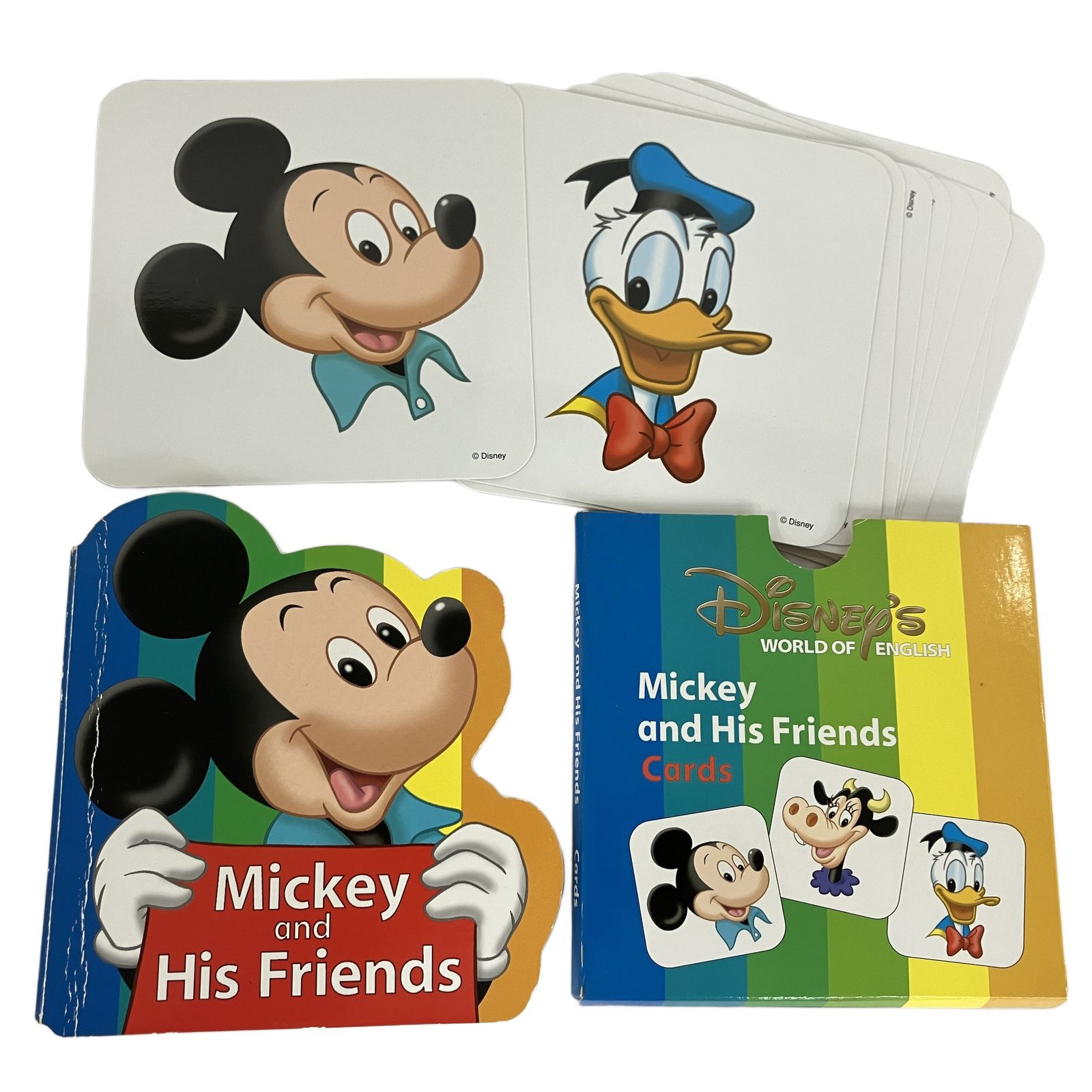 DWE ステップバイステップ シングアロング 2019年頃 DVD CDセット