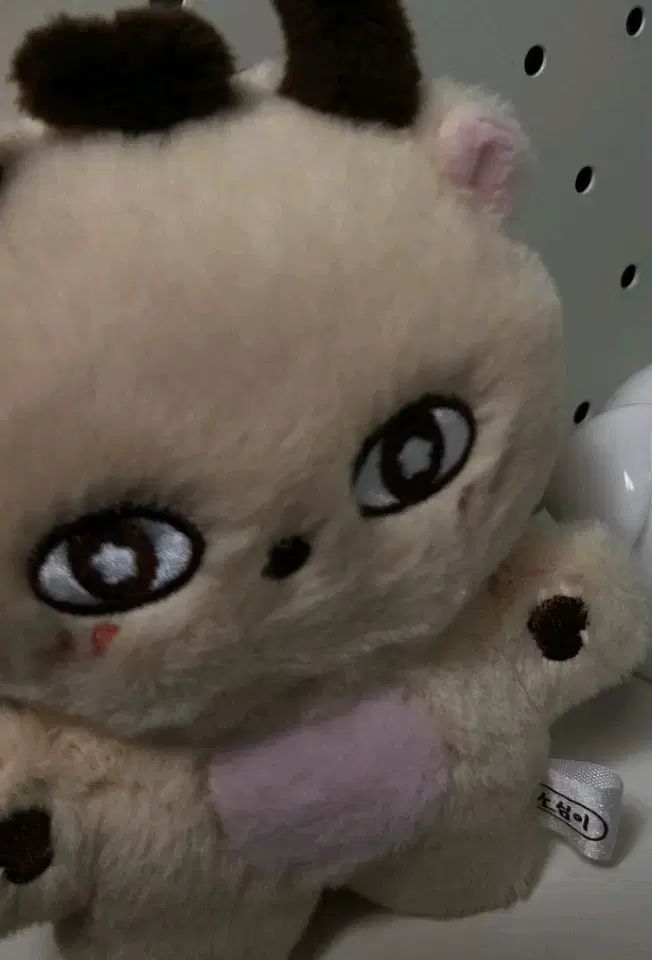 パク ジフン PARK JIHOON 臆病者