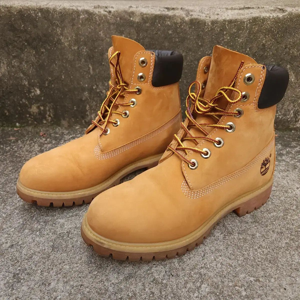 7 W ティンバーランド 6インチ ウォーカーブーツ 250 255