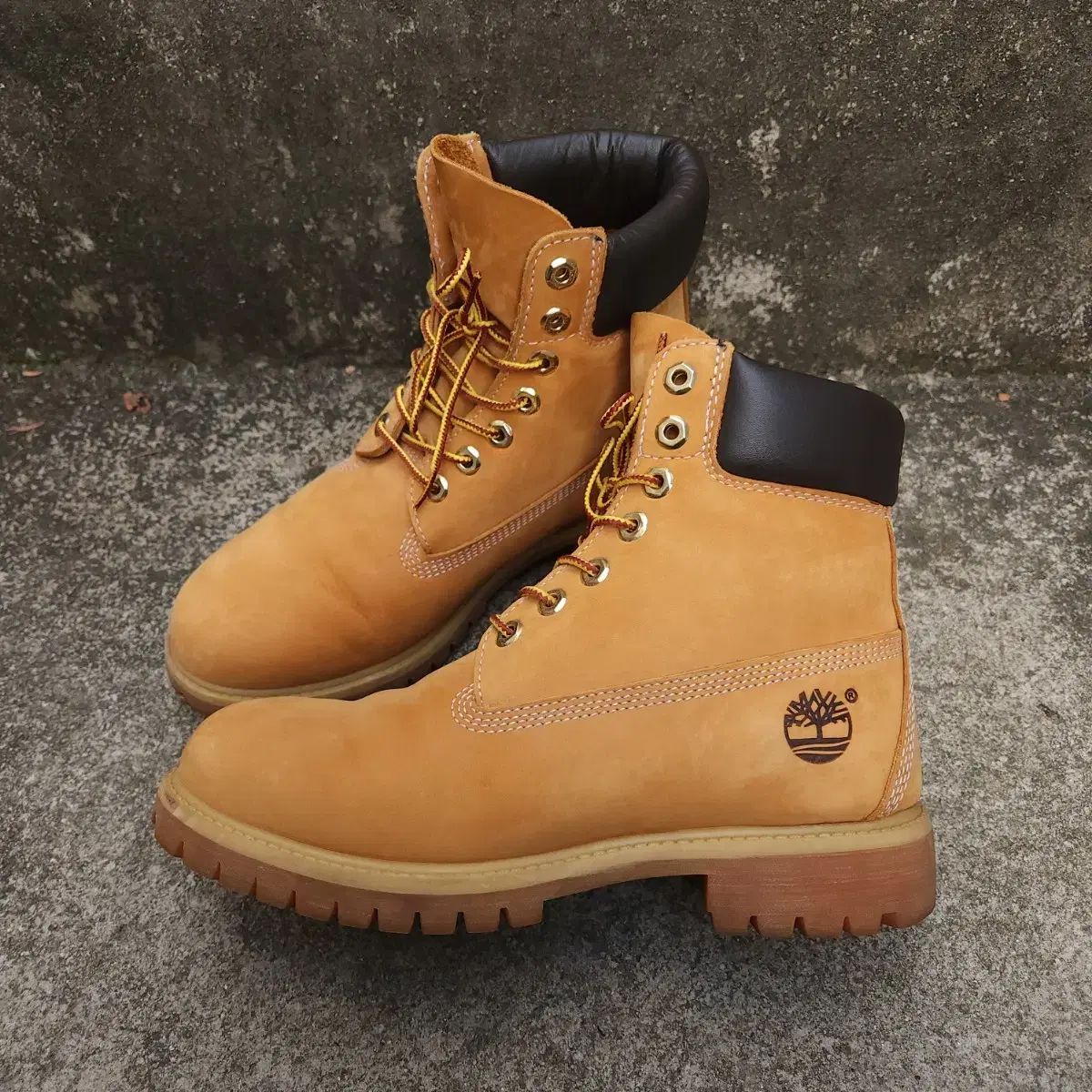 7 W ティンバーランド 6インチ ム ウォーカーブーツ 250 255