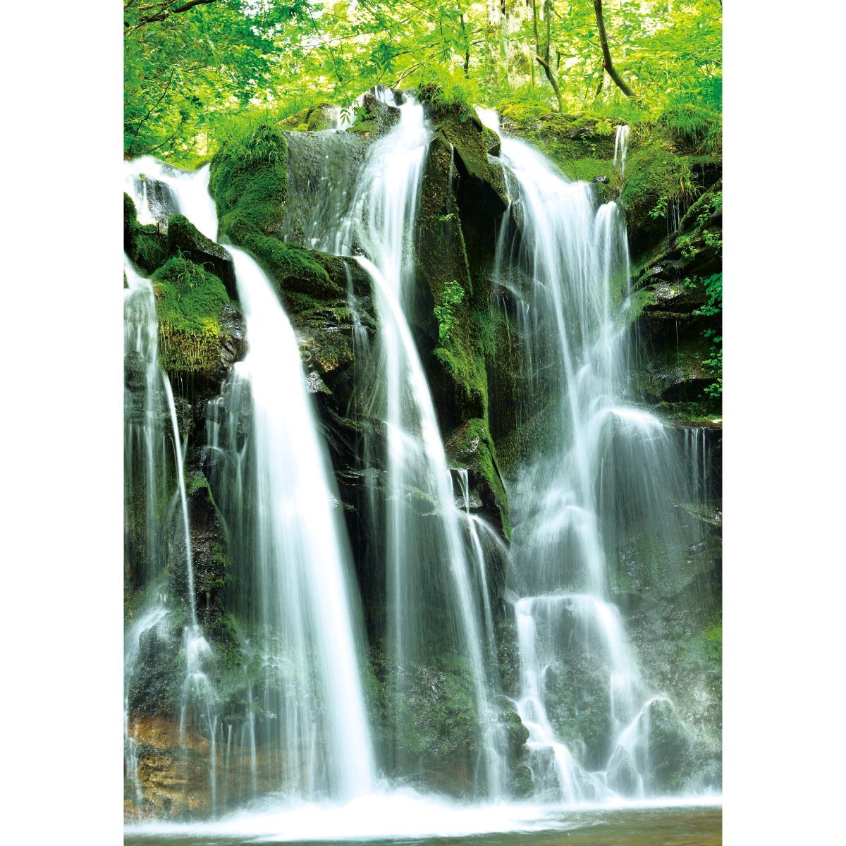 B お風呂ポスター