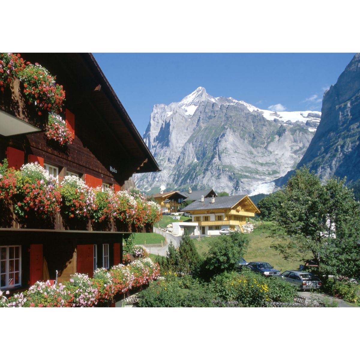  ヴィッターホルンとシャーレ B お風呂ポスター 防水ポスター 香りオイル シャンプーセット バスグッズ バス 洗面所用品