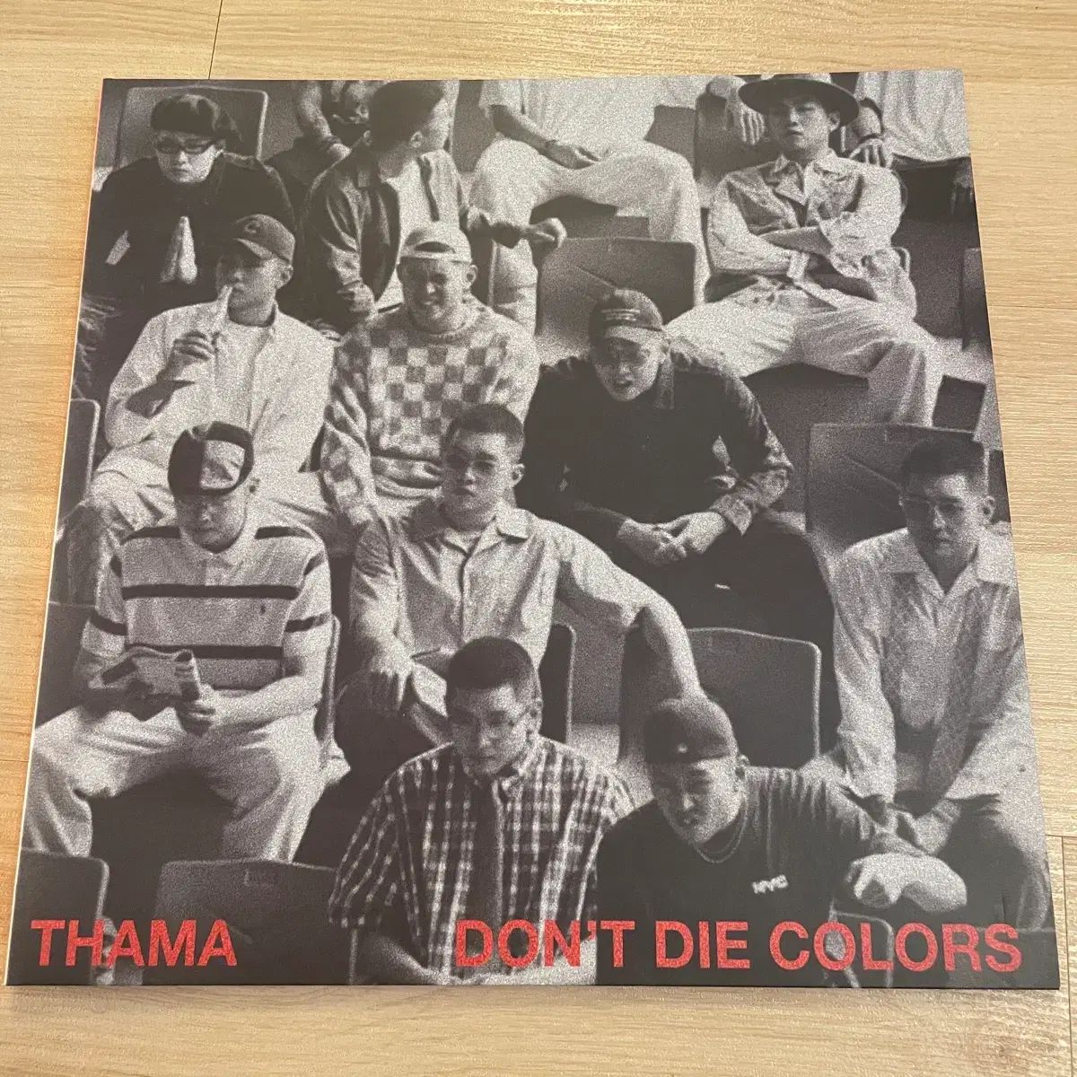 タマ Lp ブラウン