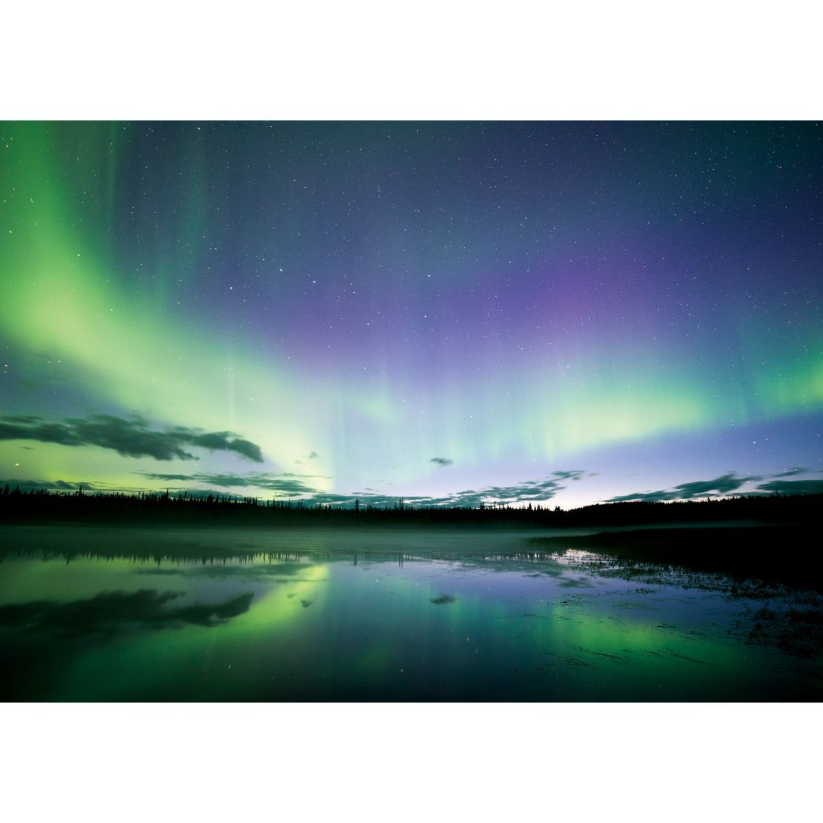  オーロラ B お風呂ポスター 防水ポスター バス用品カゴ シャワーラック バスグッズ バス 洗面所用品