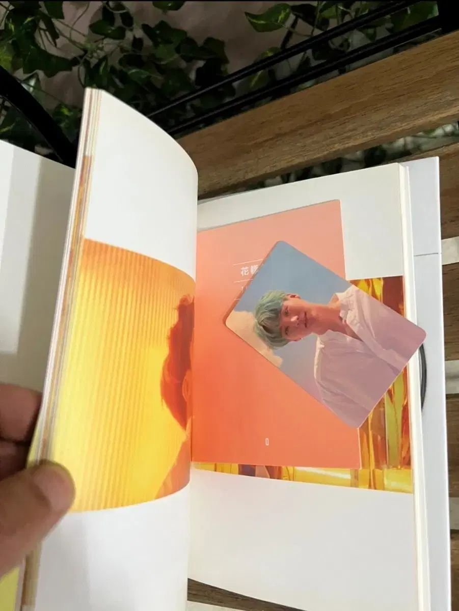 サイン入り アルバム