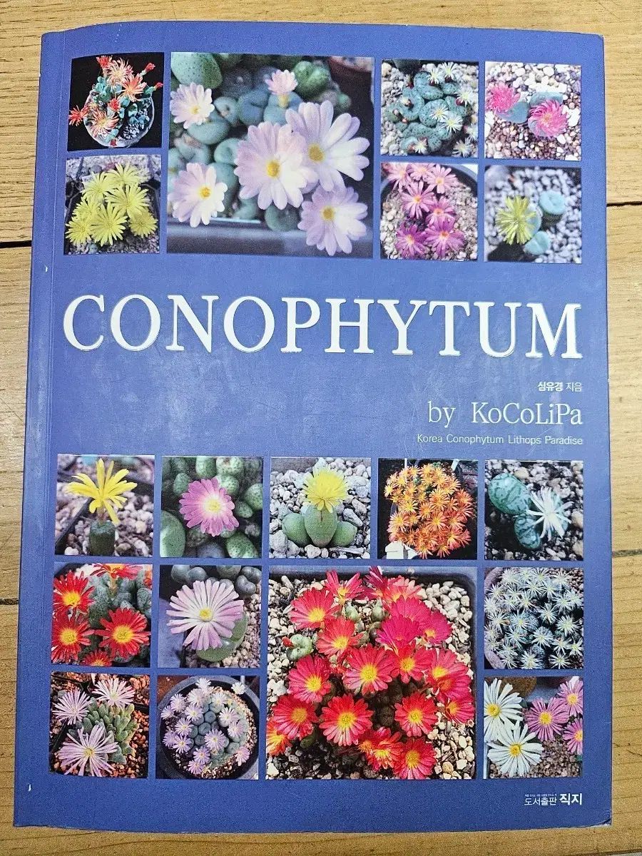 コノフィツム全書 コノフィツム全書 | 弥生坂 緑の本棚