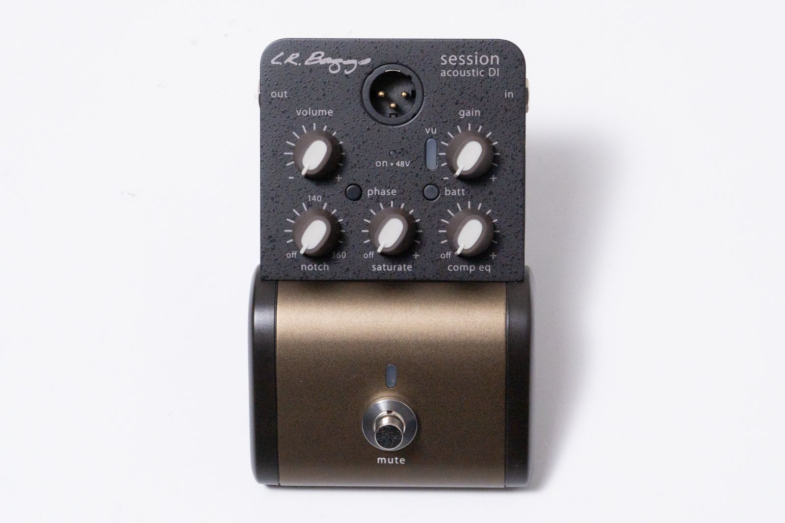 L R Baggs Session Acousic D I GIB横浜