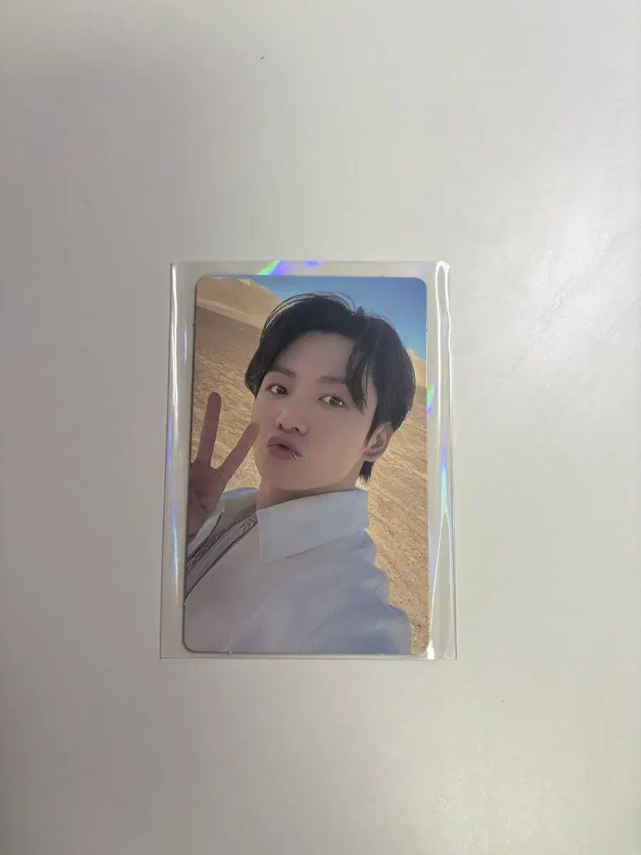 Elephant Graveyard 土地カード アラビアンナイト MTG