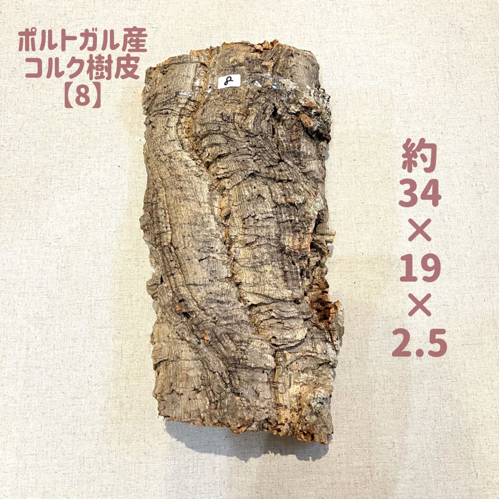 水口新一 「穂高大正池」 油彩画（F6号） 額付き 風景画 原画