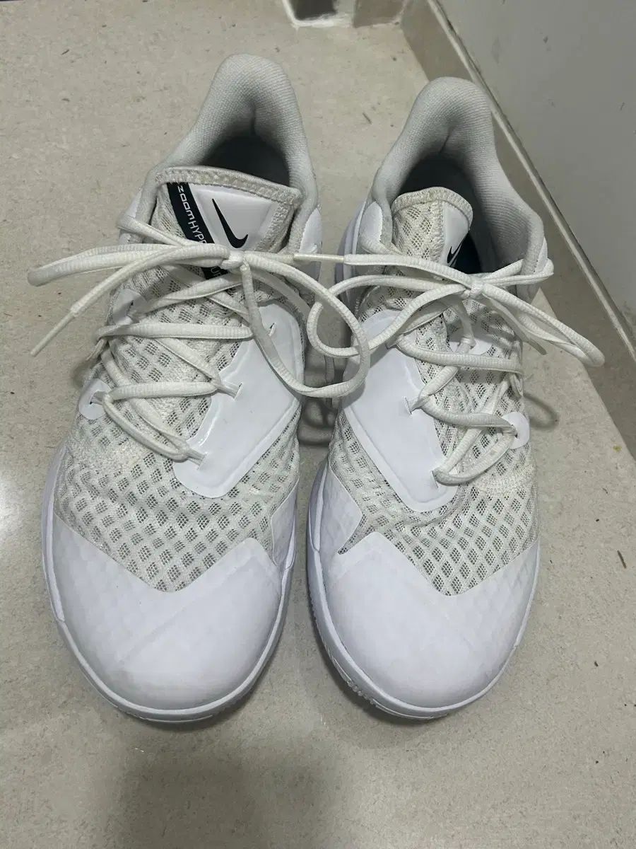 ナイキ ハイパースピード コートシューズ 275