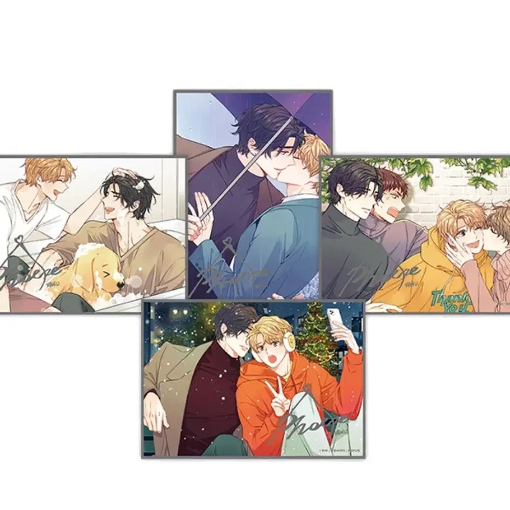 非意図的恋愛담 ピビ MOFUN ビジュアル色紙 4種 すぐ決済 販売