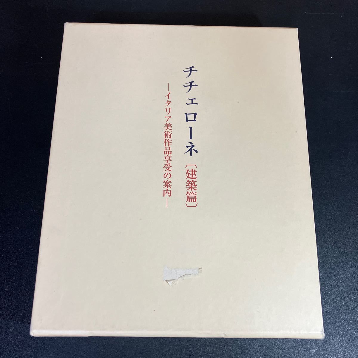 チチェローネ 建築篇 イタリア美術作品享受の案内 ヤーコプ ブルクハルト 中央公論美術出版