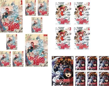 はたらく細胞(19枚セット)全7巻 + 特別編 + !! 全4巻 + BLACK 全7巻