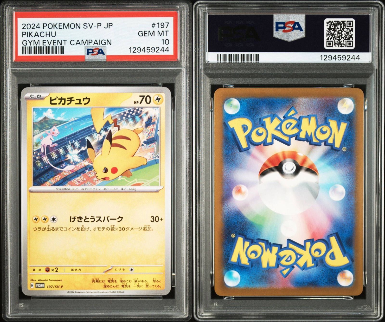 2024 ピカチュウ #197 ジムプロモ PSA10 PSA10】ポケモンカードゲーム ピカチュウ ジムイベント プロモ 197/SV