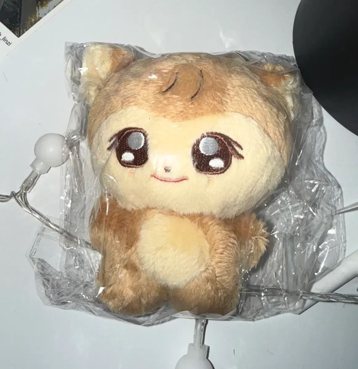 ソンチャン(SUNGCHAN) ぬいぐるみ RIIZE（ライズ） 譲ります - メルカリ