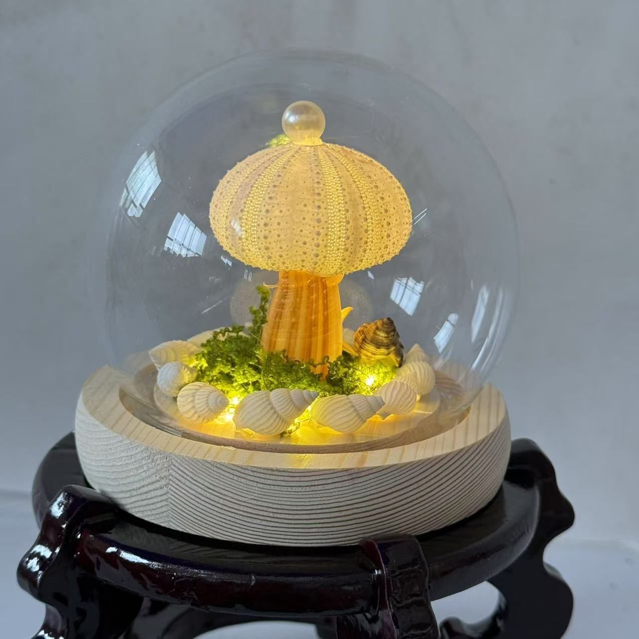 クリエイティブシェルウニ手作りナイトライト 感のある寝室デスクトップ装飾ガラスドーム ギフト飾り