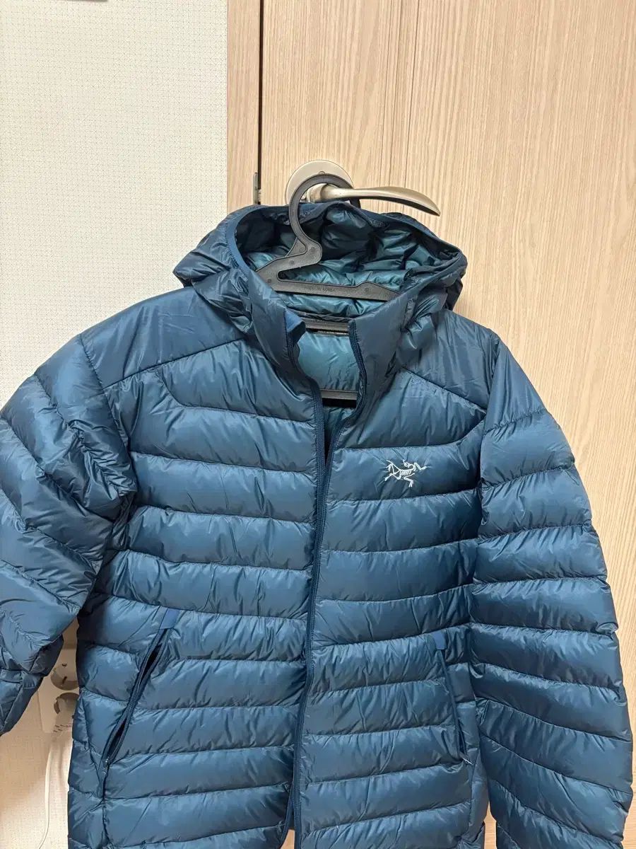 ARC TERYX Cerium NIGHTSCAPE mメンズ