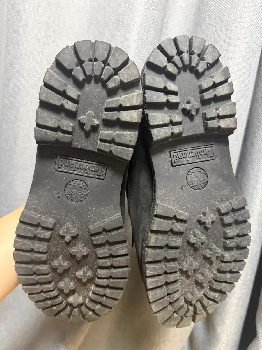  Timberland レディース 6インチ ム ウォータープルーフ ウォーカーブーツ 8 W 250 mm その他 ブーツ