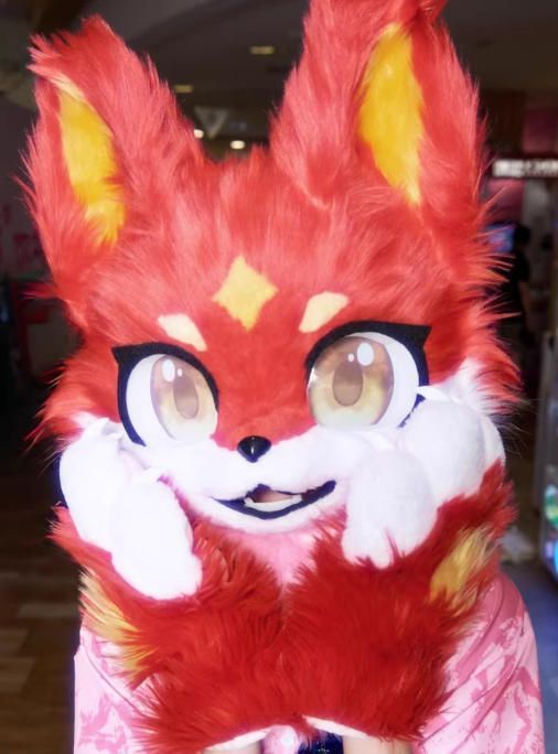 ファースーツ 着ぐるみセット NO.314 犬 赤 ケモノ 全頭ヘッド ぬいぐるみ コスプレ コスチューム 一点物