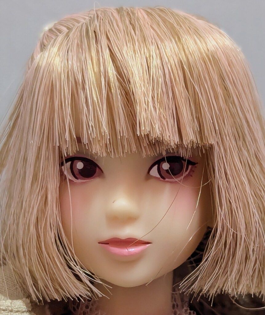  ペットワークス CCS-momoko 22 AW 人形本体 momoko