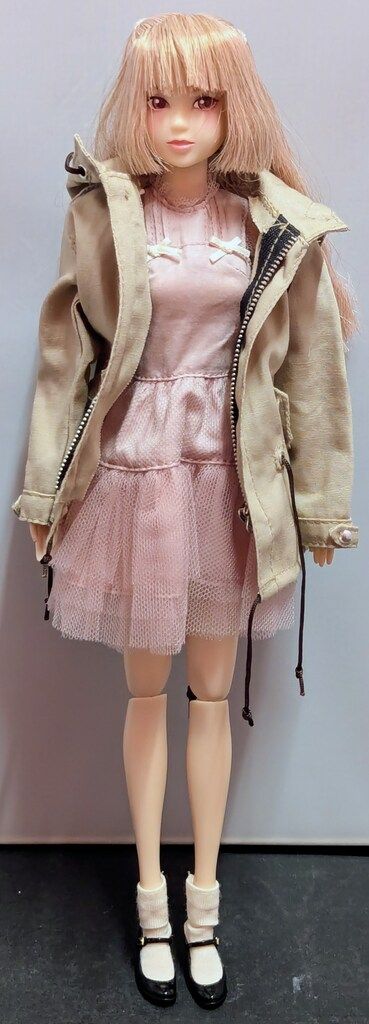 ペットワークス CCS-momoko