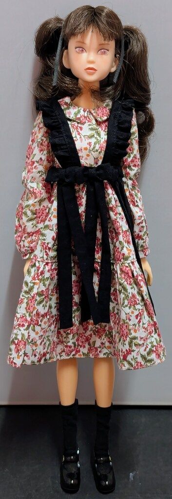  ペットワークス CCS-momoko 25 SS 人形本体 momoko